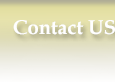 Contact Us Contact US